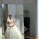 통통이 신부의 “청주 아이브 브라이드” 본식 드레스 셀렉 후기. 추가금 공유O