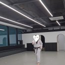 분도태권도장 이미지