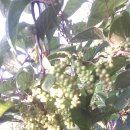 제천농장 이미지