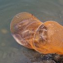 광탄낚시터 이미지