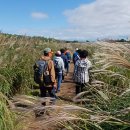 하늘공원 이미지