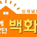 대박DC마트 이미지