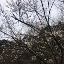 아로채 사우나 이미지