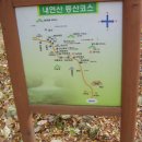 금진초등학교 이미지