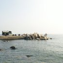 울릉도서면식품