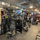 고릴라짐 이미지