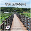 고구낚시터 | 고구저수지 강화 교동도 여행 가볼만한 곳 연꽃 명소