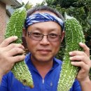 태천농장 이미지