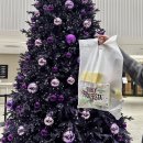 오후 | 컬리푸드페스타 2025 평일 오후 방문 후기