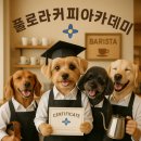 양재(초급) | 서울양재커피학원/강아지나물이의바리스타도전기/플로라커피아카데미