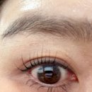 아이홀릭 이미지