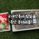 홍어마을 | 흑산홍어마을 흑산도 목포 국내산 홍어 삭힌홍어 인터넷주문 후기