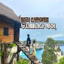 발리 누사페니다 투어 동부코스 클링킹비치 다이아몬드비치 트리하우스 짐바란 씨푸드 맛집