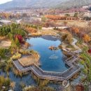 수목원