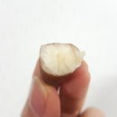 새마을유통 이미지
