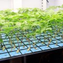 도라지경로당 이미지