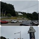 자연배달횟집 | 낙산항 효주네머구리횟집 솔직 후기 – 신선한 회, 아쉬운 점