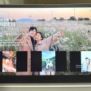 웨딩마치 | 가성비 식전영상 셀프 제작 후기 - 필메이커 웨딩마치 사계절 스냅 58장 담은 영상
