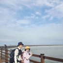 화성 황금해안길(궁평항에서 제부마리나까지17km)2026,7,19 이미지