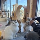 그루밍라운지 이미지