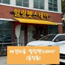 힐링펫샵 네이버블로그