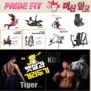 프라이드핏 이미지