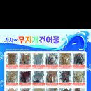 가자무지개건어물 이미지