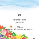 파이진 명품피부