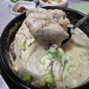 대구 초복 삼계탕 맛집 포장 best 5 복날 여름 대비 사전 예약 보양식 추천