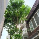 경북대학교 정문 이미지