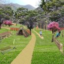 대흥동 유아숲체험원 이미지