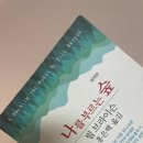 푸코빌