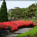 서일목장 이미지