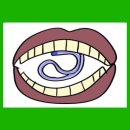 엘튜브 이미지