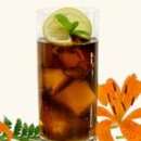 롱아일랜드 이미지