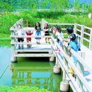 솔밭흙집 이미지