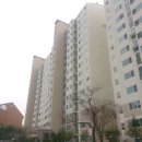 분당-391 이미지