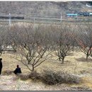 원동슈퍼 이미지