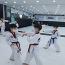 향남읍 행정리 462-1 이미지