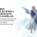 제353일차= "히브리서": 제 11~13장 이미지