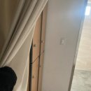 장기황어체육관 이미지