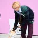 쓰담쓰담 이미지