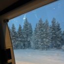 허스키 사랑 | 사리셀카 허스키썰매, 세계에서 제일 긴 눈썰매장