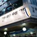 갈마애견 네이버블로그