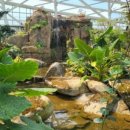 수피아어린이집 이미지