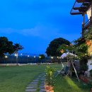 프린세스 애견 이미지