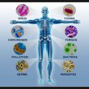 일심한의원 이미지