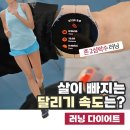 존2 심박수 달리기! 다이어트 러닝 페이스 찾기 후기