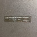 [대구카페/차시호차] 수성못 가까운 곳에서 발견한 힐링되는 찻집 내돈내산 후기