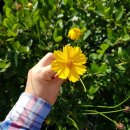 우주농장 이미지